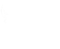 Vertical News TV Logo